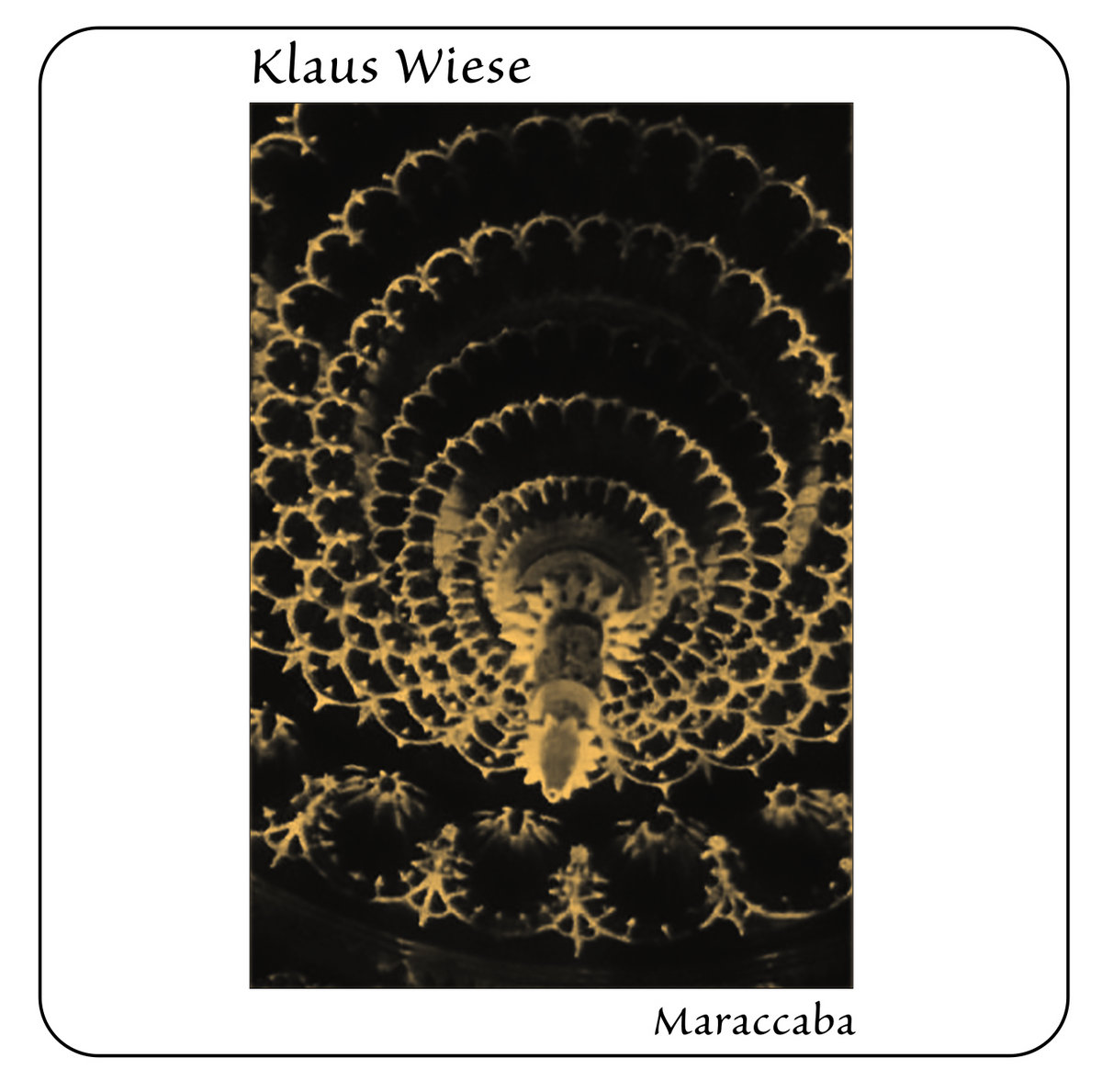WIESE, KLAUS - Maraccaba